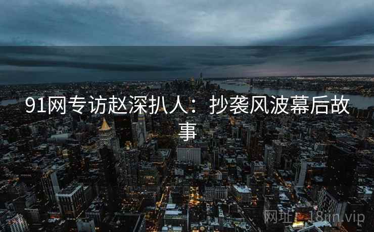 91网专访赵深扒人：抄袭风波幕后故事
