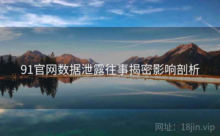 91官网数据泄露往事揭密影响剖析