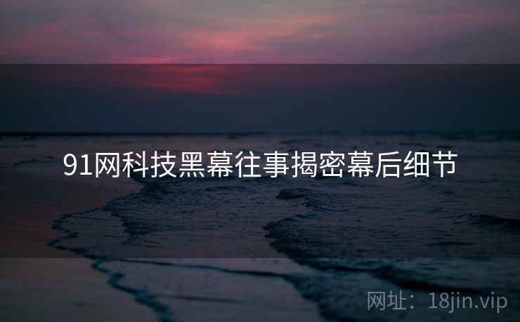 91网科技黑幕往事揭密幕后细节