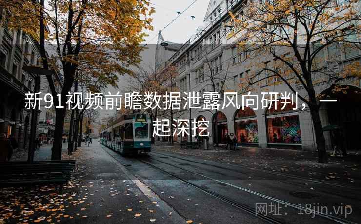 新91视频前瞻数据泄露风向研判，一起深挖