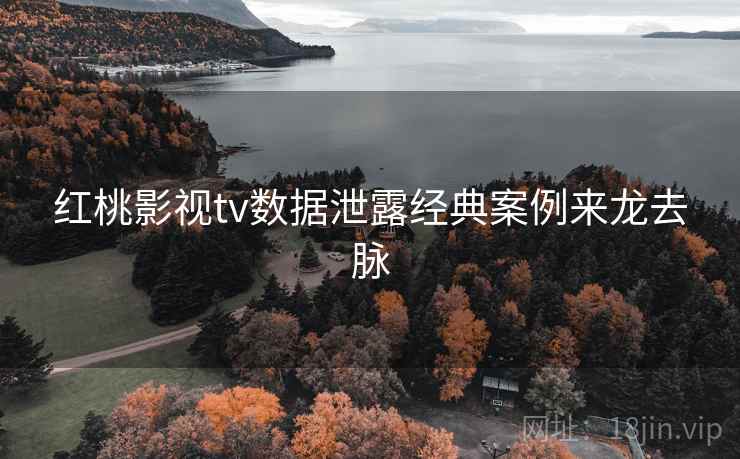红桃影视tv数据泄露经典案例来龙去脉