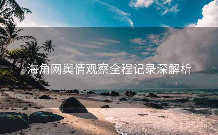 海角网舆情观察全程记录深解析
