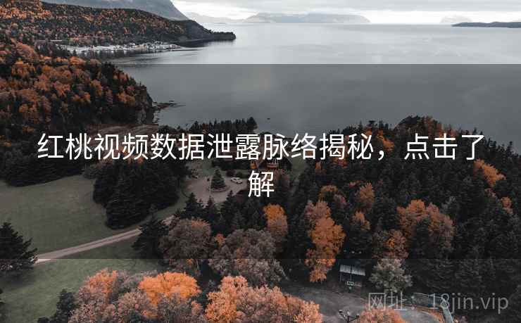 红桃视频数据泄露脉络揭秘，点击了解