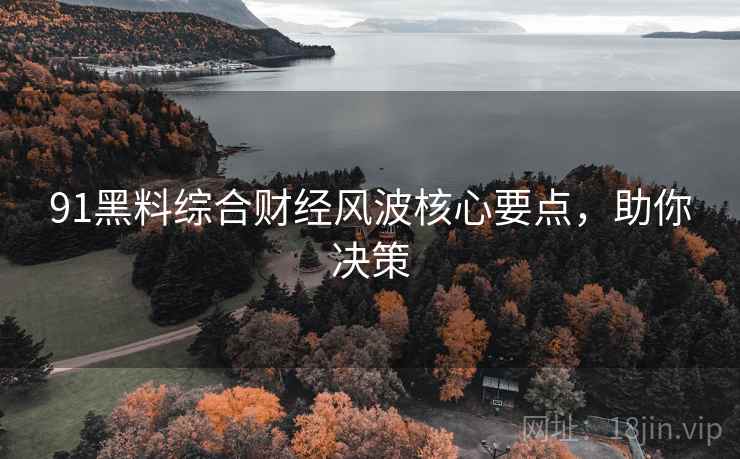 91黑料综合财经风波核心要点，助你决策