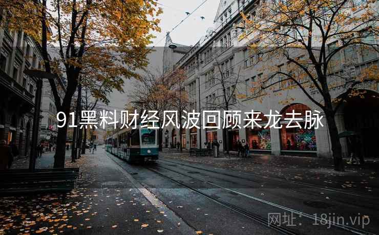 91黑料财经风波回顾来龙去脉