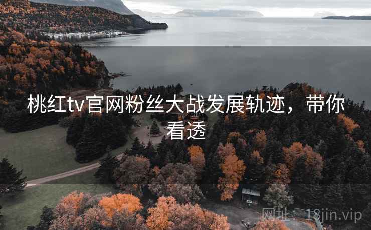 桃红tv官网粉丝大战发展轨迹，带你看透