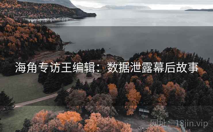 海角专访王编辑：数据泄露幕后故事