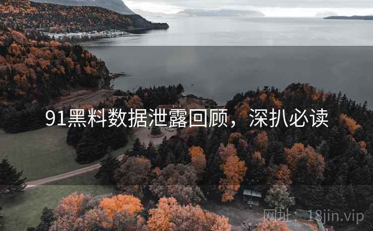 91黑料数据泄露回顾，深扒必读