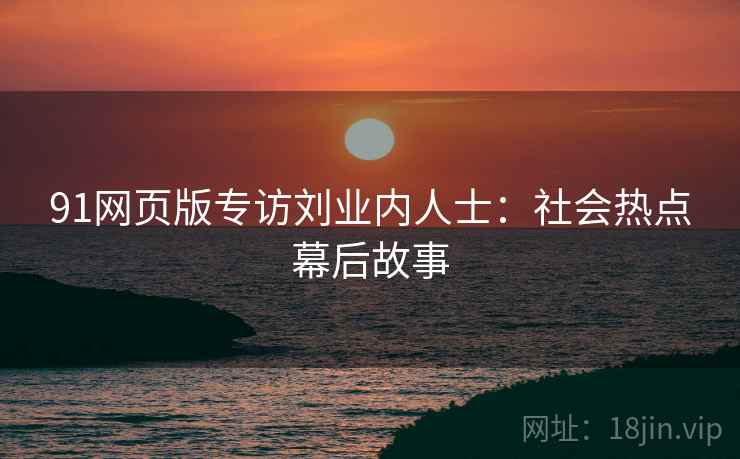 91网页版专访刘业内人士：社会热点幕后故事
