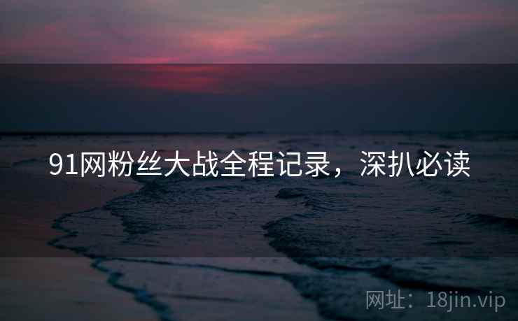 91网粉丝大战全程记录，深扒必读
